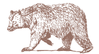 botto-bear